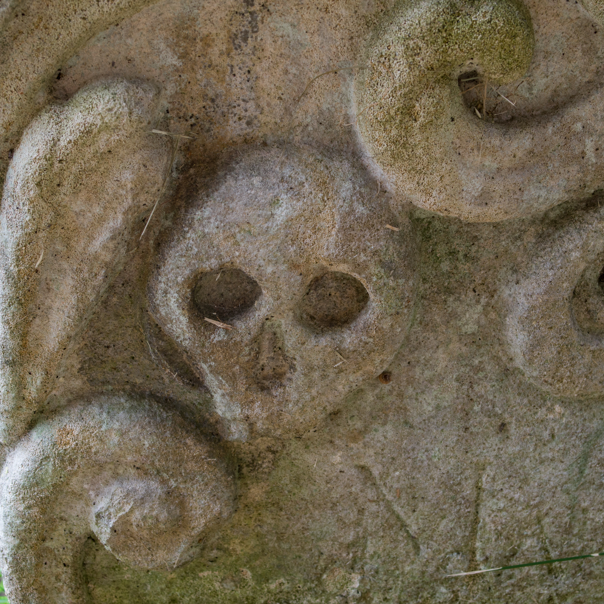 Elmswell skull (2)