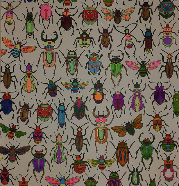 The World of Insects