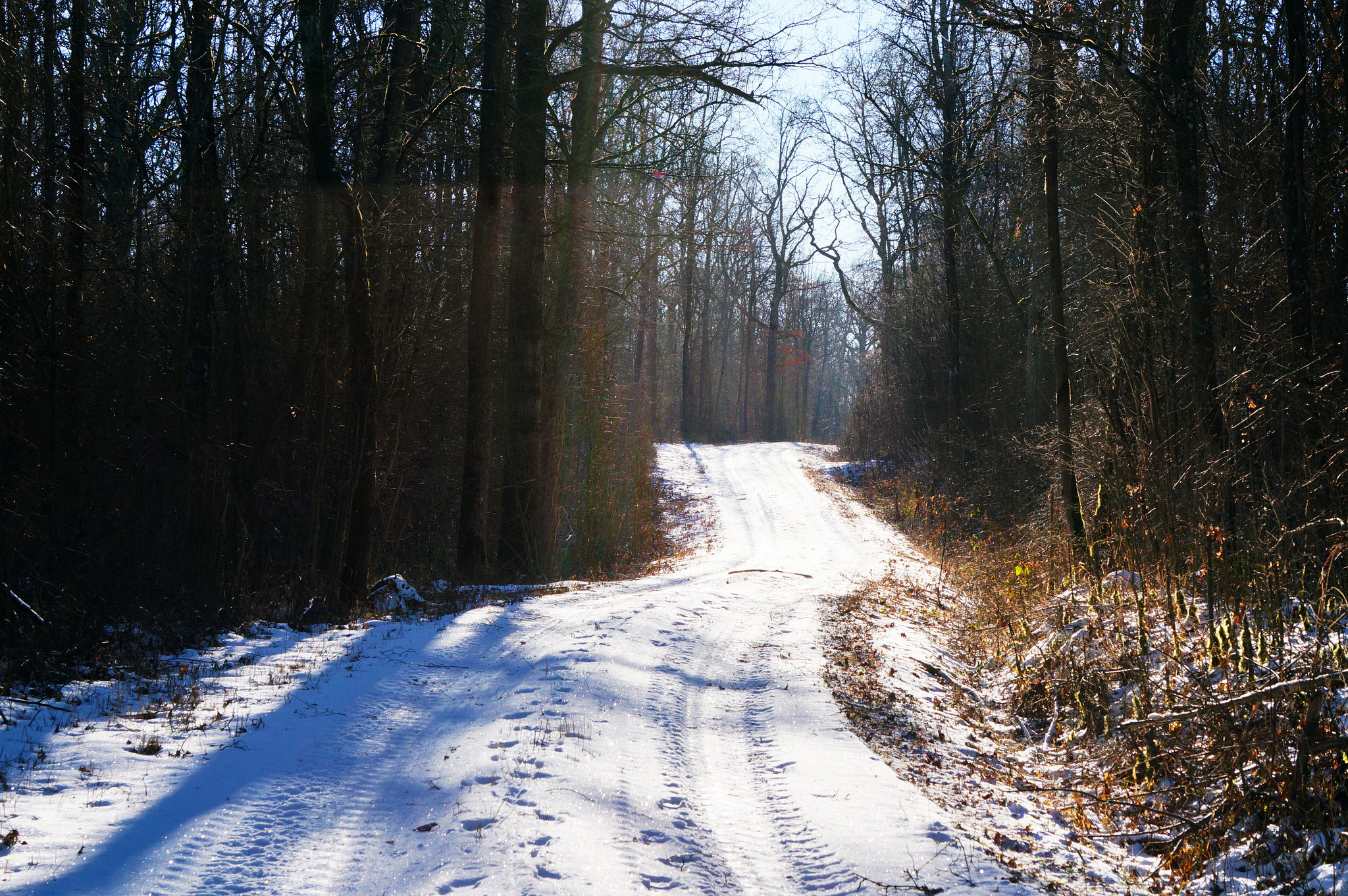 Ein Winter, wie er einmal war - A winter as it used to be