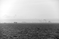 Morgennebel