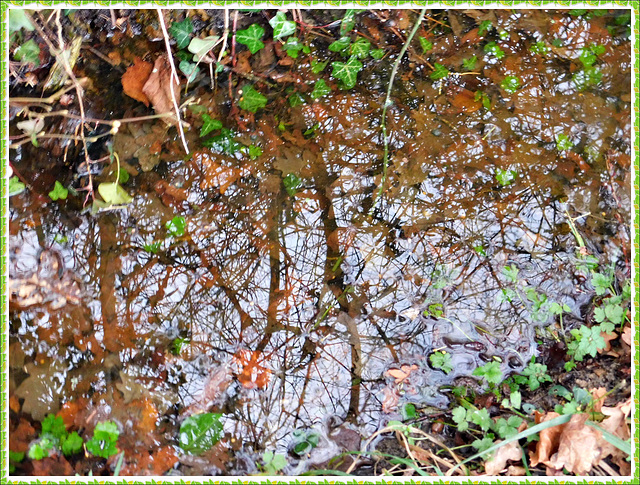 Reflets dans le chemin (22)