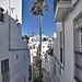 Vejer de la Frontera