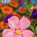 Spring Bouquet
