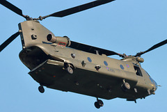 EOS 90D Peter Harriman 16 33 05 39496 chinook1 dpp