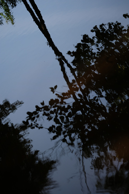 DSCF4630