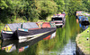 Grand Union Canal, Bulbourne. World Photography Day 2025