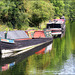 Grand Union Canal, Bulbourne. World Photography Day 2025