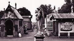 st mary's r.c. cemetery, kensal green, london