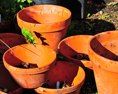 Terracotta Pots