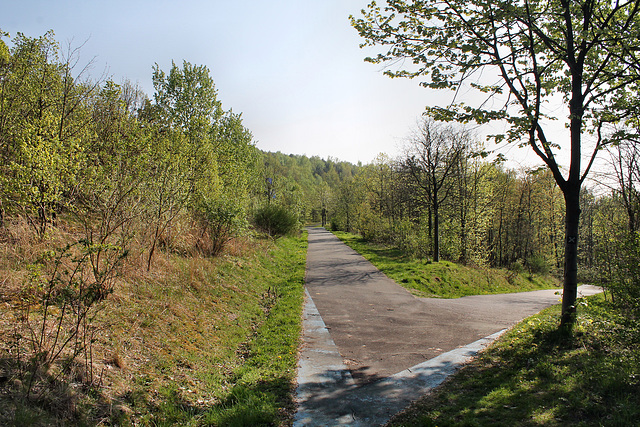 Halde Großes Holz, Bergkamen / 9.04.2017