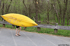 Genetically Engineered Kayak -- they grow legs now ... HFF !!