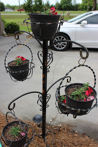 JUST PLANTED,   Red Petunias.... this will be a different look in a few week as the plants mature.....