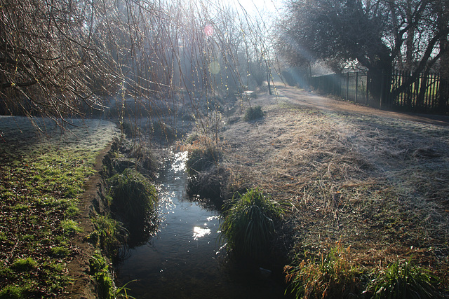 A walk near the Hogsmill river