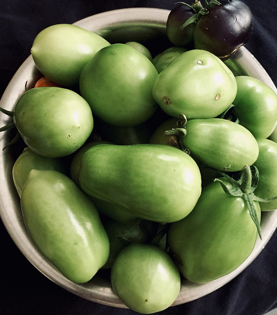 Plum Tomatoes