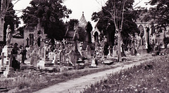 st mary's r.c. cemetery, kensal green, london