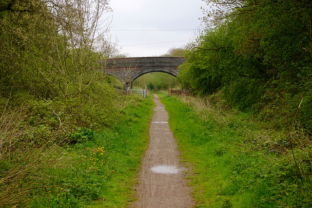 Cycle Route 55