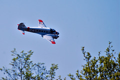 Shuttleworth Air show - Avro Anson