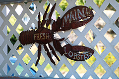 Large Lobster Lattice