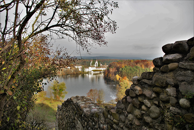 Rheinau ZH