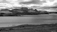 Ben Loyal! Ben Loyal!