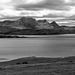 Ben Loyal!