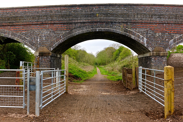 Cycle Route 55