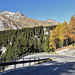 Maloja-Pass GR / Kurven...........mit dem Postauto!