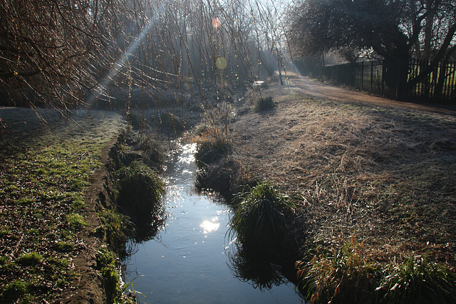 A walk near the Hogsmill river