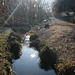 A walk near the Hogsmill river