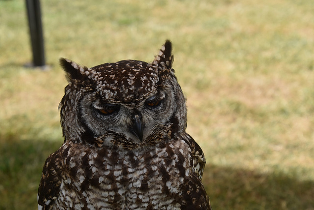 egfacsjun242023 (1075)