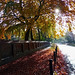 Autumnish!