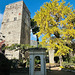 The medioeval tower and a giant Ginko Biloba.