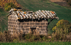 cabane de vigne - Le Saule d'Oingt