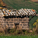 cabane de vigne - Le Saule d'Oingt