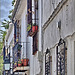 Granada El Albaicin