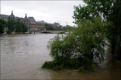 Crue Seine Paris-juin2016