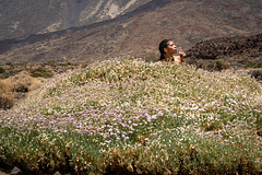 Teide..  Teneriffa