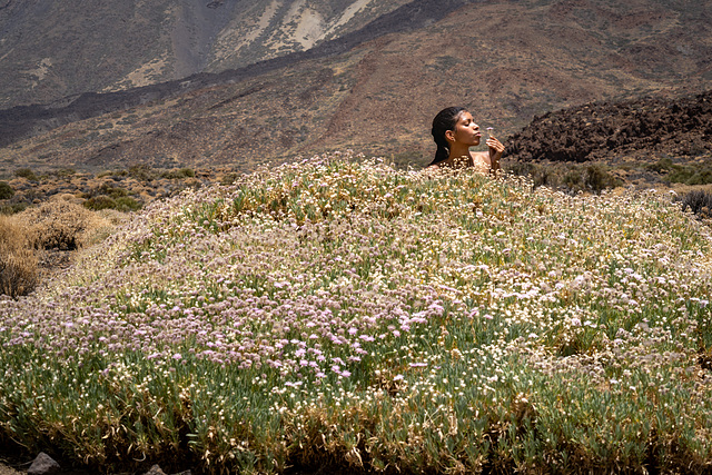 Teide..  Teneriffa