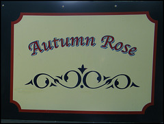 Autumn Rose