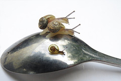 Kita-Ausflug Kita-Ausflug