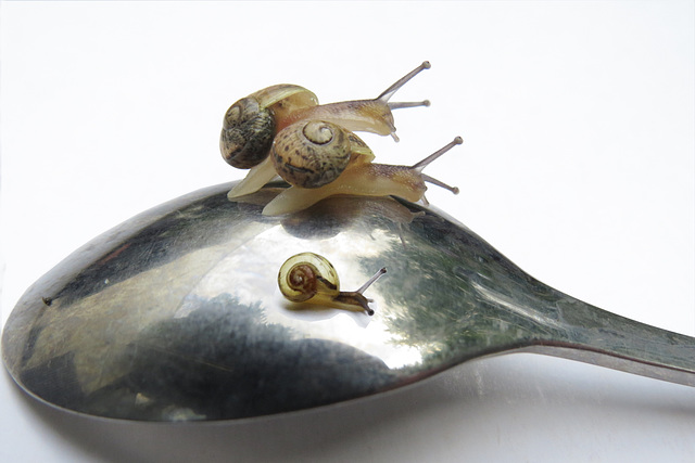 Kita-Ausflug Kita-Ausflug