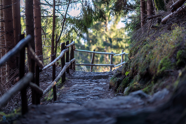 Und wieder zurück :-) Und wieder zurück :-)
