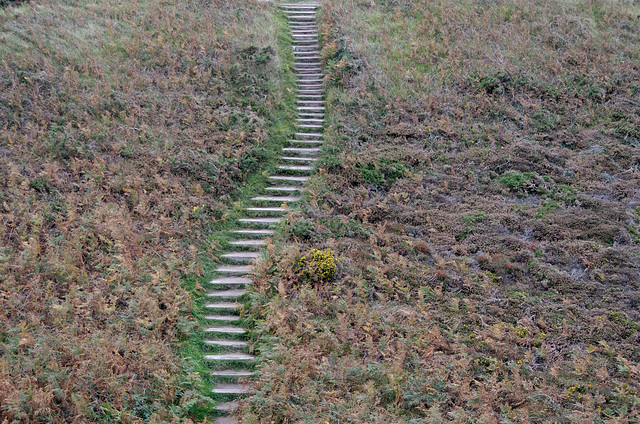 Escalier dans la lande