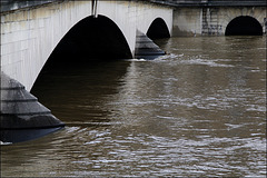 Crue Seine Paris-juin2016