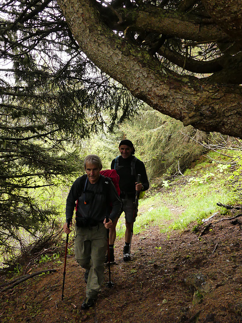 20160611 -18 Rando Meribel Les allues Jour3 Courchevel (13)