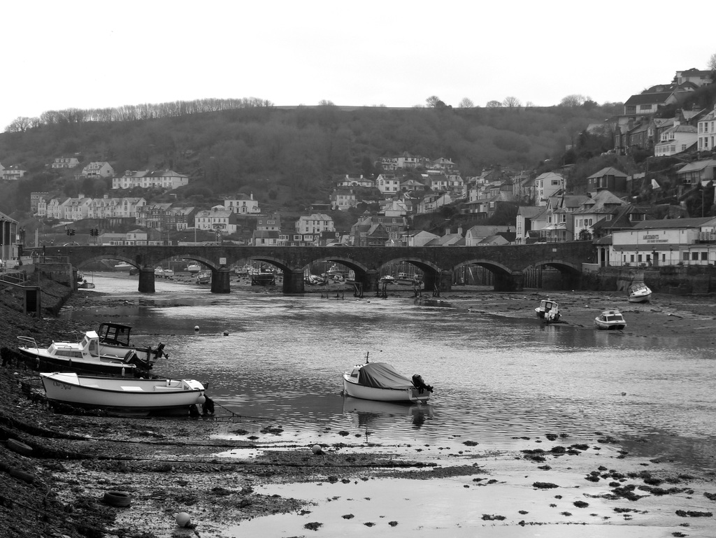 Looe (Mono) - 10 February 2017