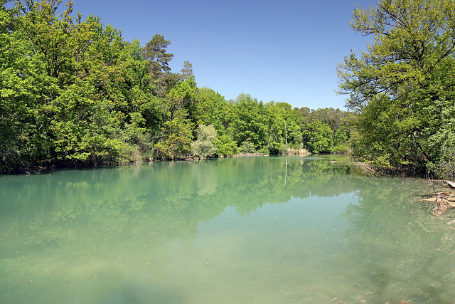 Rüdlingen - Am Alten Rhein  (2)