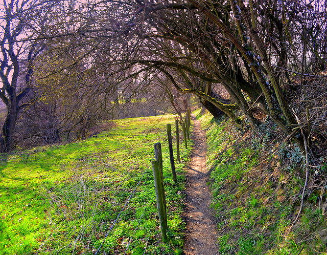 Hunt Path  HFF