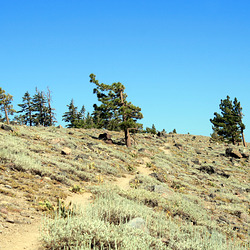 IMG 8860 adj IMG 8860 adj