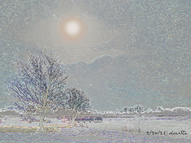 Winter Midday Sun